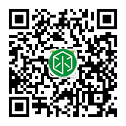美必思网络科技